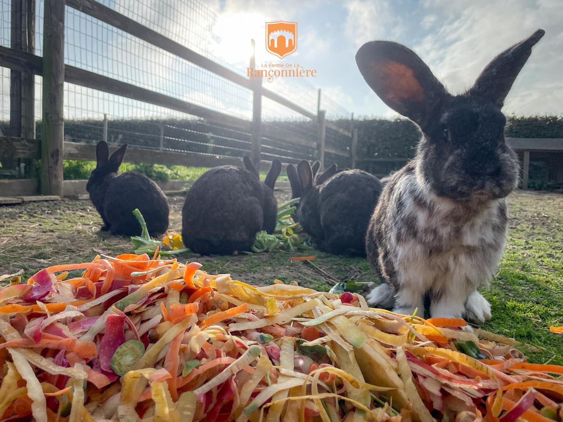 Ferme De La Ranconniere - Hotel & Restaurant Crepon ภายนอก รูปภาพ
